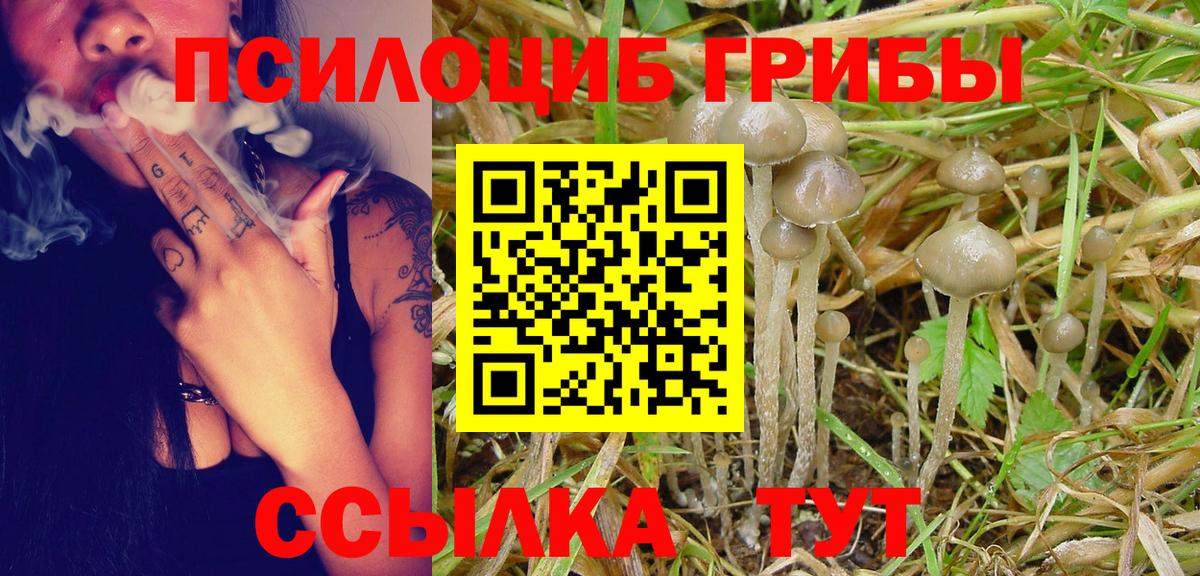 Галлюциногенные грибы MAGIC MUSHROOMS  Галлюциногенные грибы MAGIC MUSHROOMS  Вход с VPN  Луга 