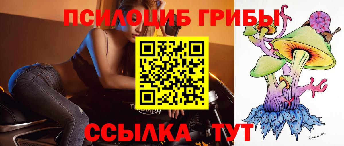 Галлюциногенные грибы мицелий Луга